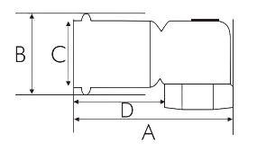 female-elbow-short
